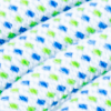 eismint